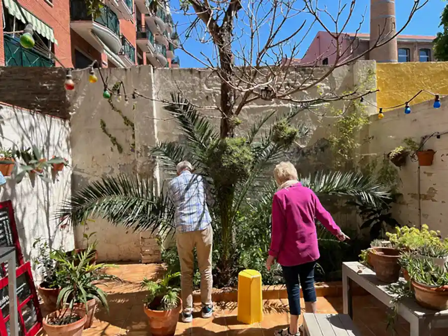 7-family-garden-help-renovation-indoi-store-courtyard-barcelona