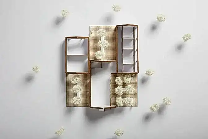 RISE_Design_Studio-New_Build_Hou