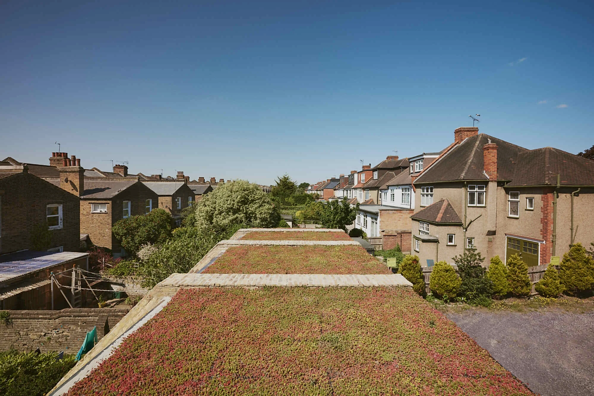 RISE-Design-Studio-Architects-Cinema-Lexi-Kensal-Rise-Community-Hub-Sustainable-3AF-05-Extension-Refurbishment