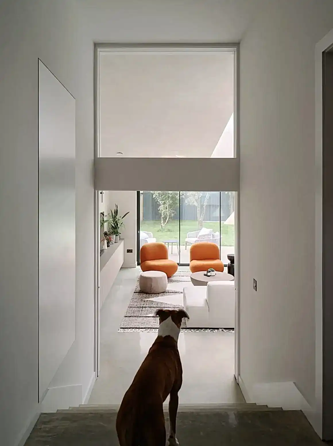 RISE-Design-Studio-Architects-Herbert-Paradise-Kensal-Rise-3AF-07-1