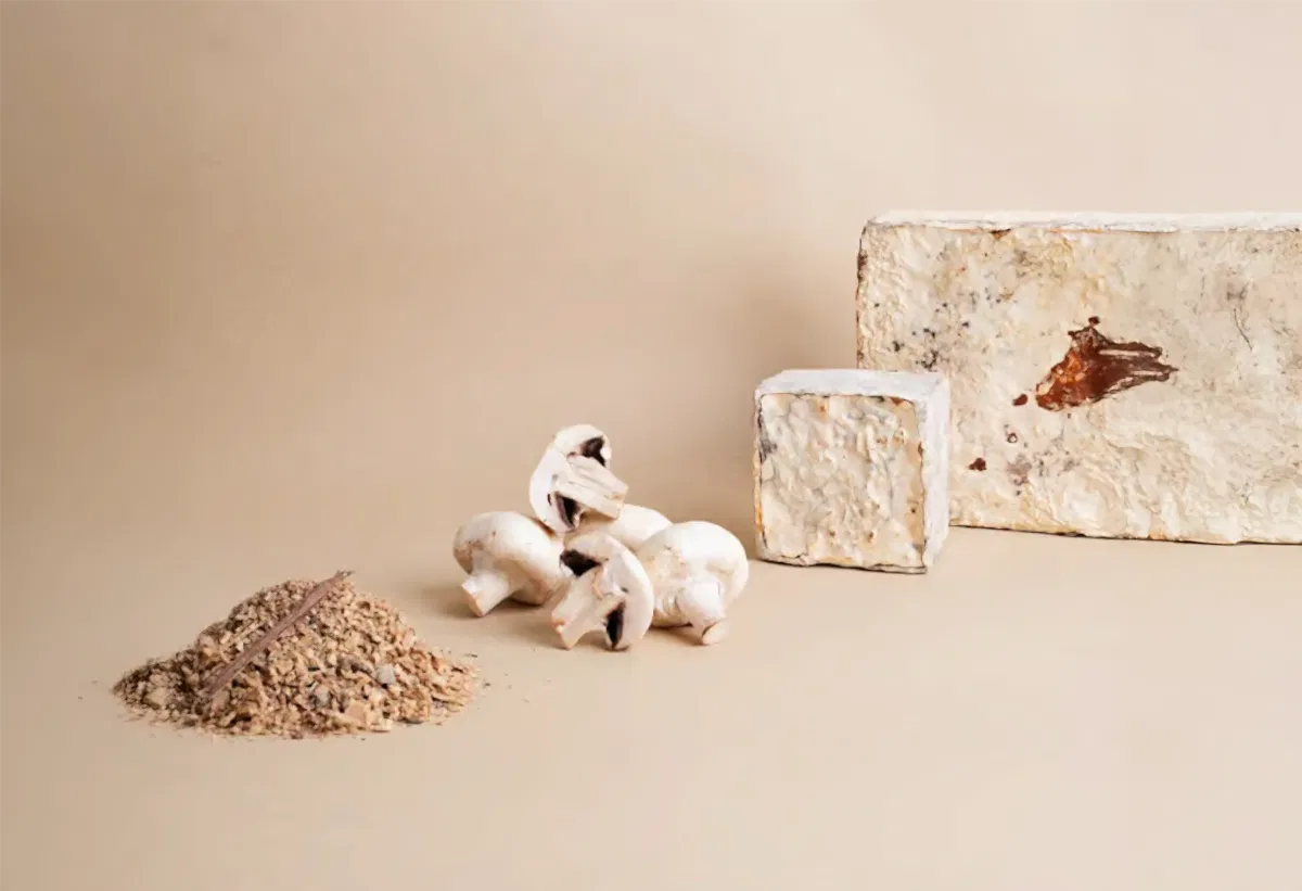 RISE-Design-Studio-Biobased-Materials-mycelium-insulation