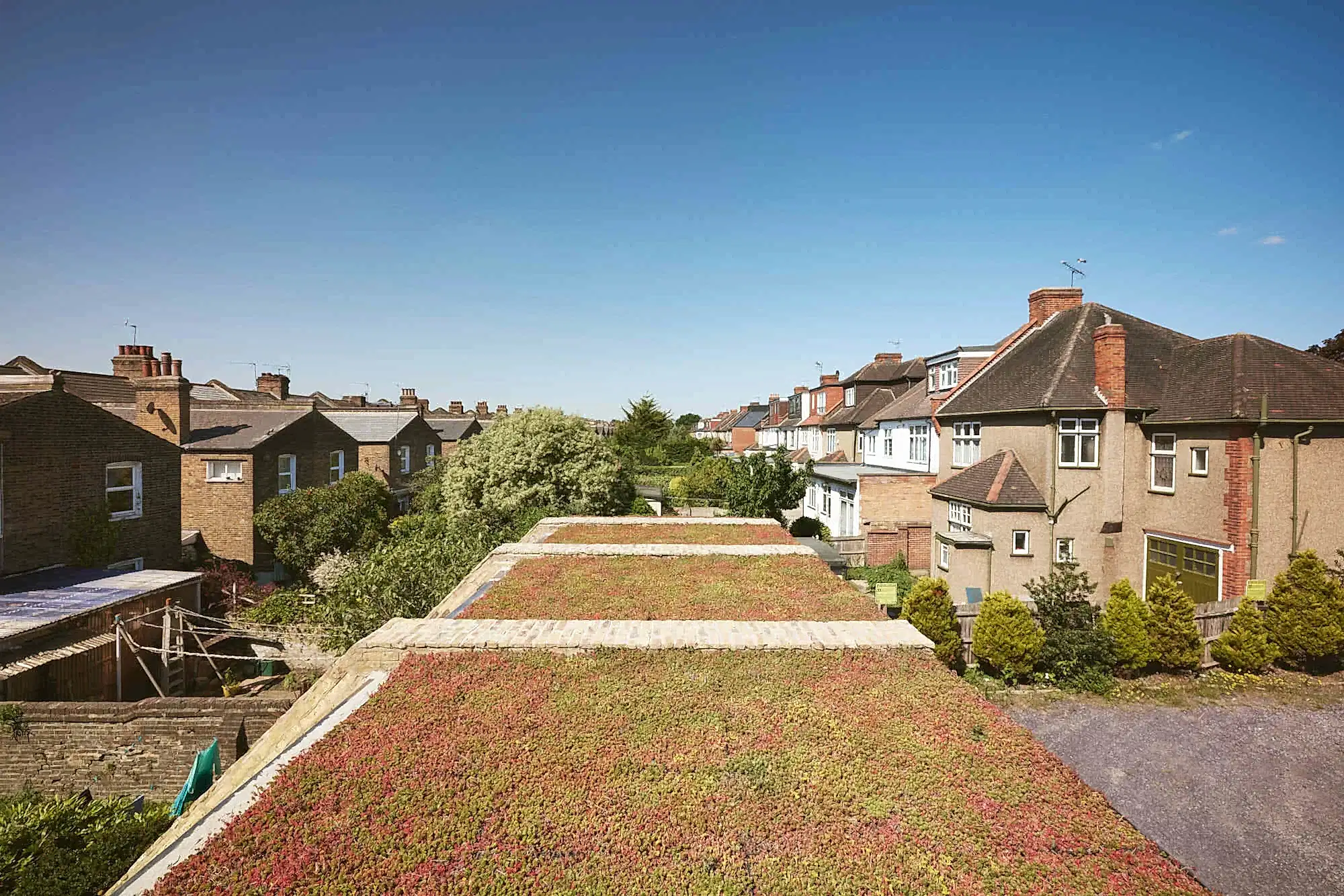 RISE-Design-Studio-London-Architects-Cinema-Lexi-Kensal-Rise-Community-Sustainable-Green-Roof