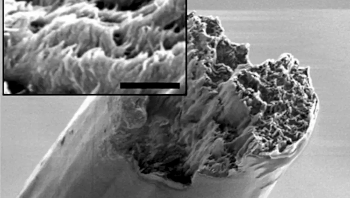 sustainable-wood-nanofibre-building-material-architecture