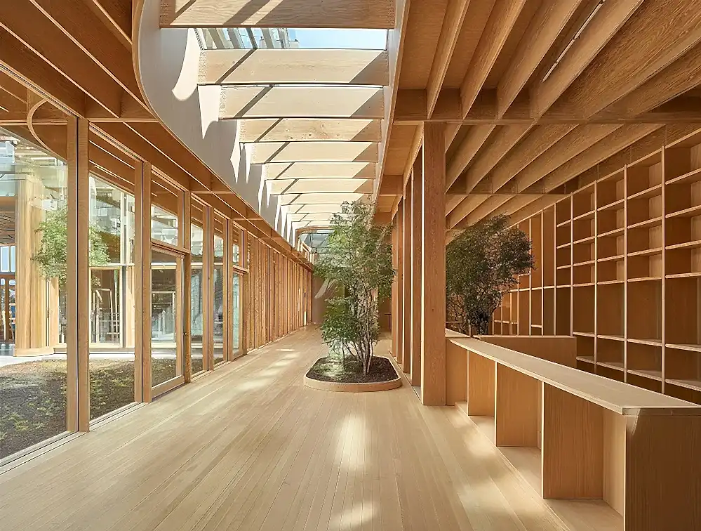 timber-architecture-interior-carbon-sink-design-rise-design-studio