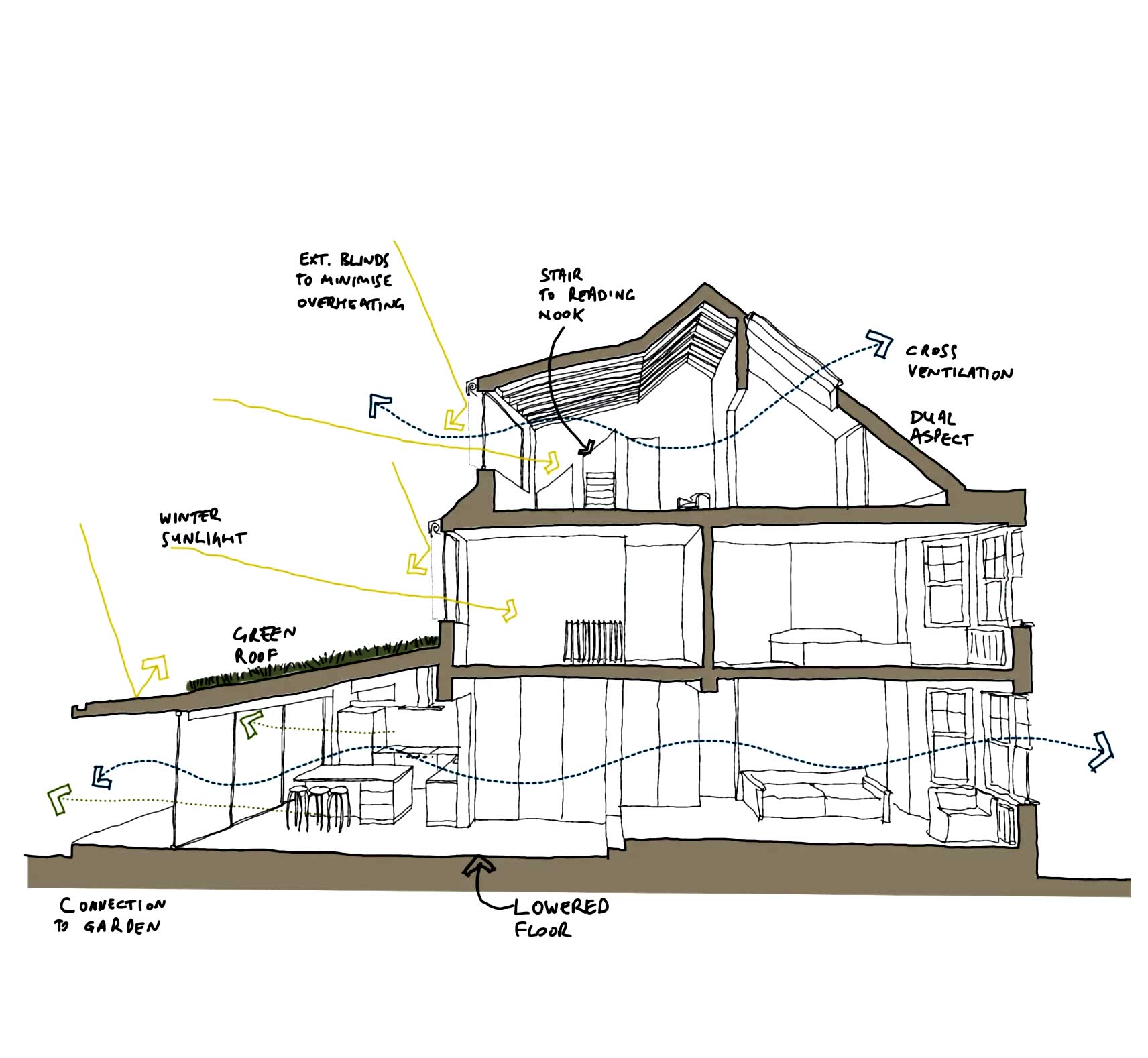 Section drawing of Douglas House in Kensal Rise showing sustainable features such as external blinds, green roof, lowered floor, winter sunlight path, cross ventilation and dual aspect layout, used to support early-stage feasibility studies and passive design strategies.
