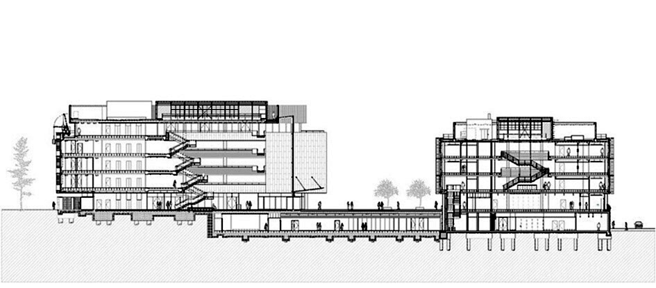 RISE-Design-Studio-Southampton-University-Maritime-Centre-of-Excellence-DR1-Long-Section-crop